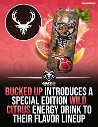 Bucked Up – Wild Citrus 24x473ml USA - Afbeelding 2